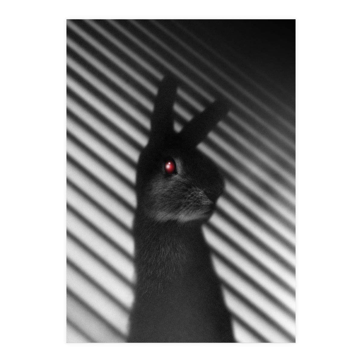 Shadow Bunny (Print Only)