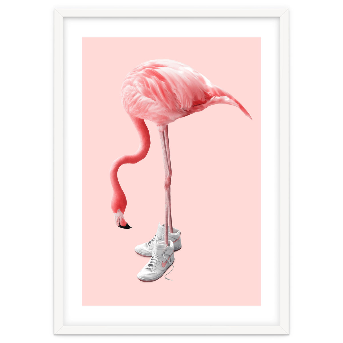 Sneaker Flamingo