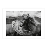 Horses In The Sky (Print Only) thumbnail