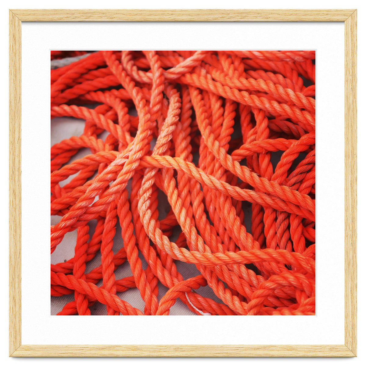 Orange ropes