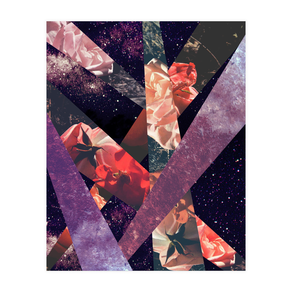 Roses In The Galaxy (Print Only)