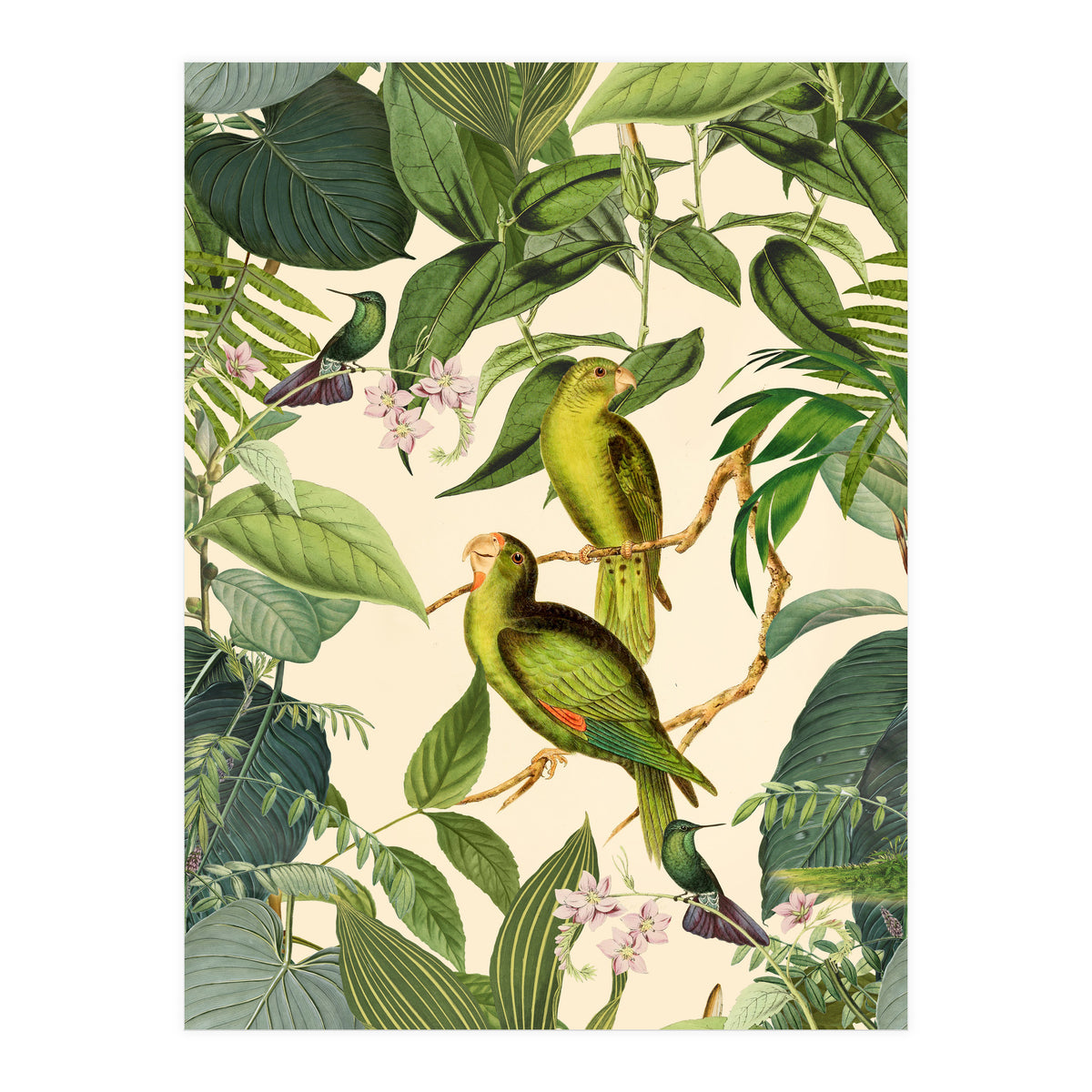 Green Jungle Parakeets (Print Only)