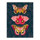 Lepidoptery Study No. 4 (Print Only) thumbnail