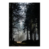 Misty Woodland Morning (Print Only) thumbnail
