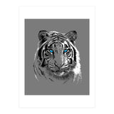 Sketch Tiger (Print Only) thumbnail