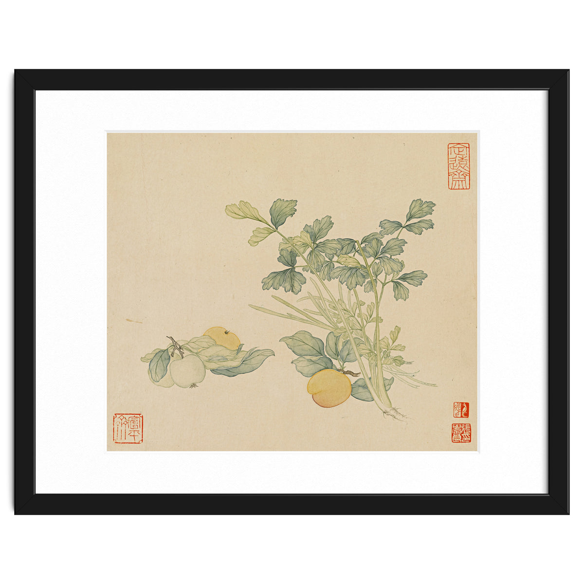 Wang Chengyu~flowers And Vegetables, Vegetables, Fruits, Plums, Apricots, Celery