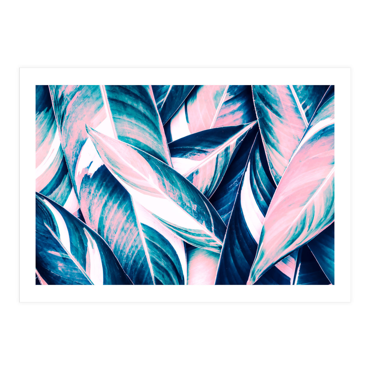 Botanical leaf pink and blue (Print Only)
