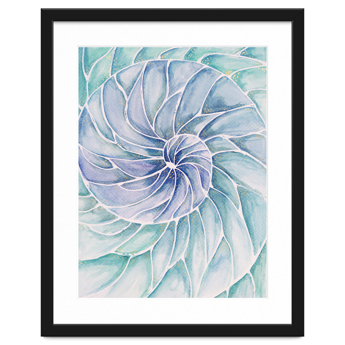 The inside of a shell