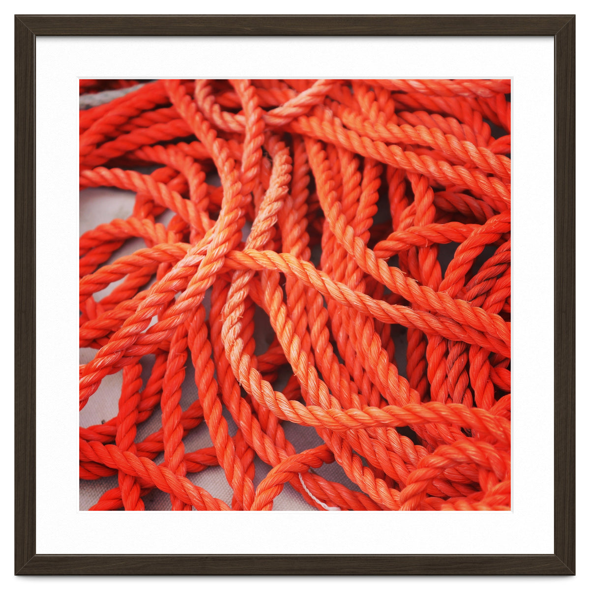 Orange ropes
