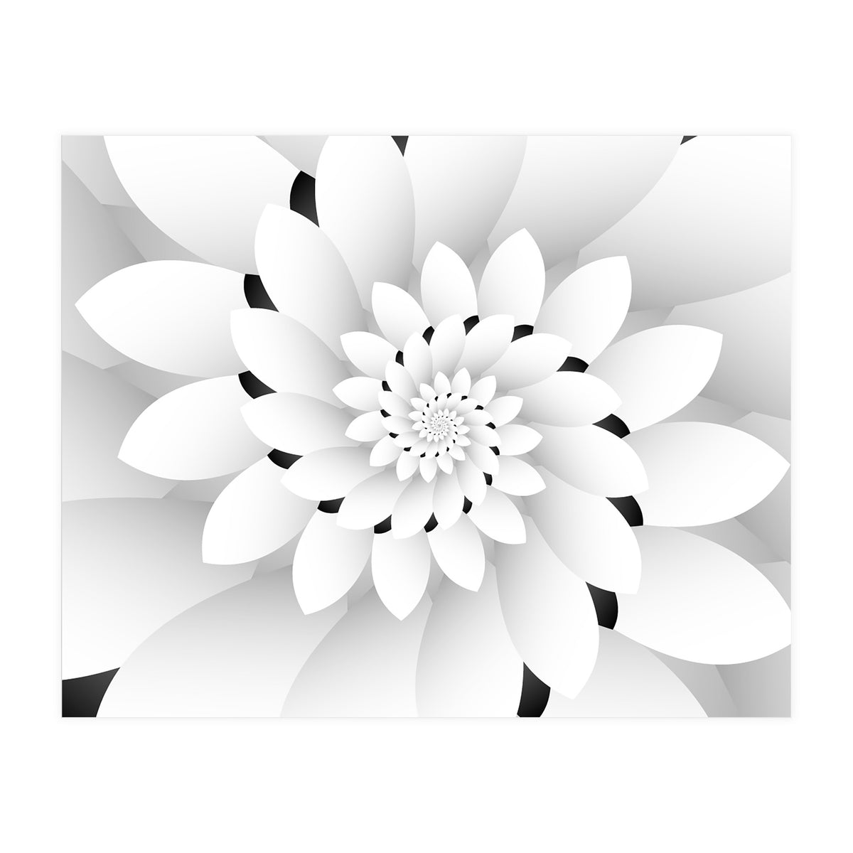 Monochrome Floral Design  (Print Only)