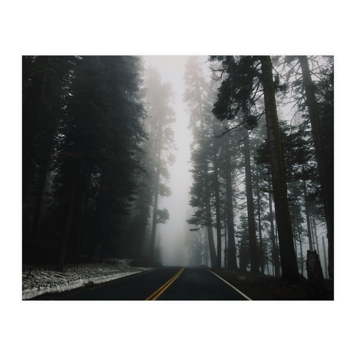 Foggy Yosemite (Print Only)