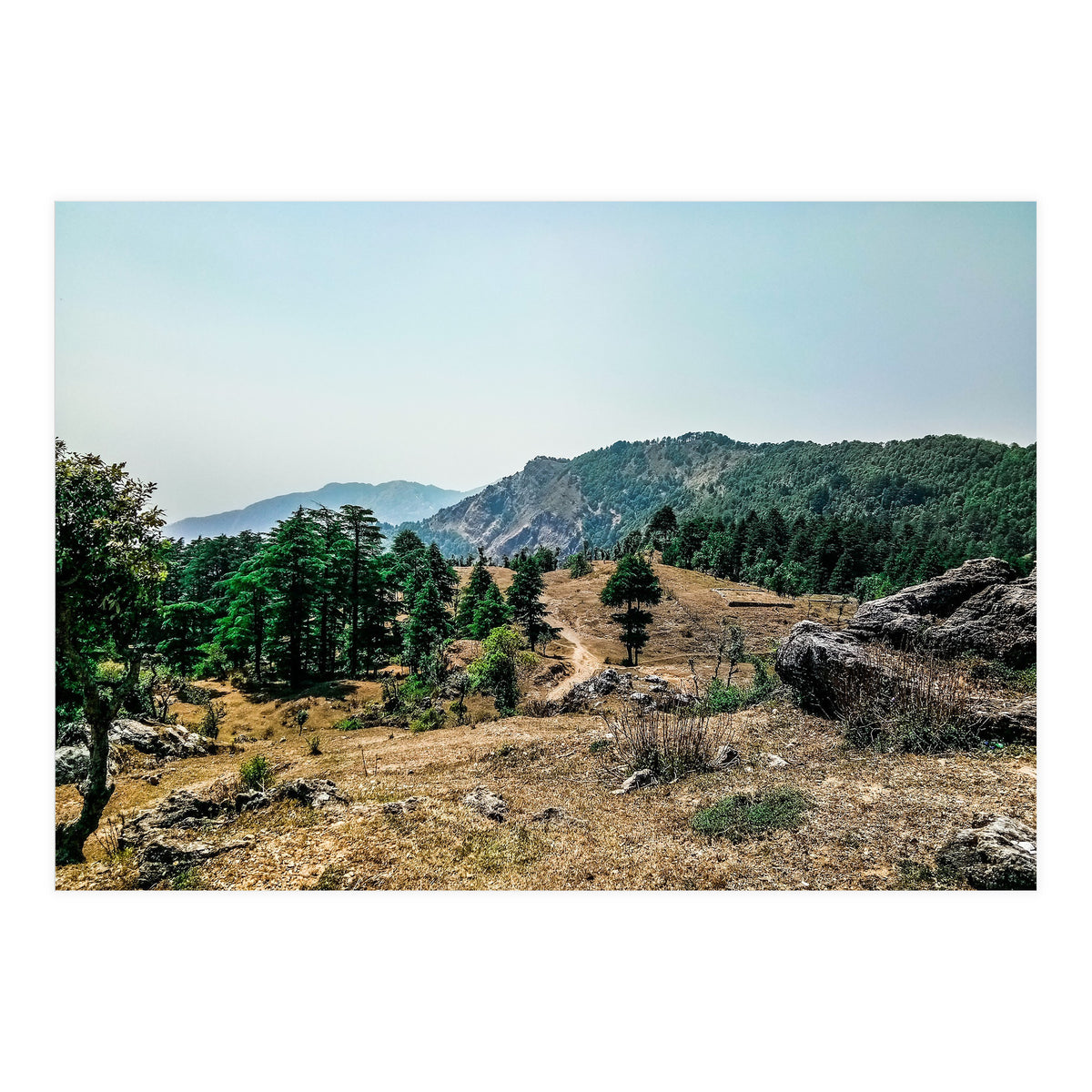 Let's Take A Walk (Print Only)