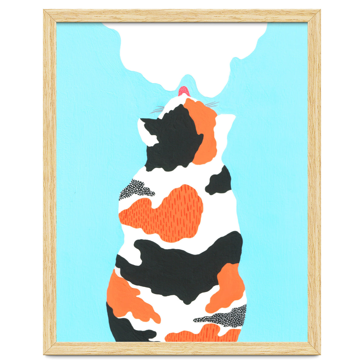 Tri Colored Calico Cat