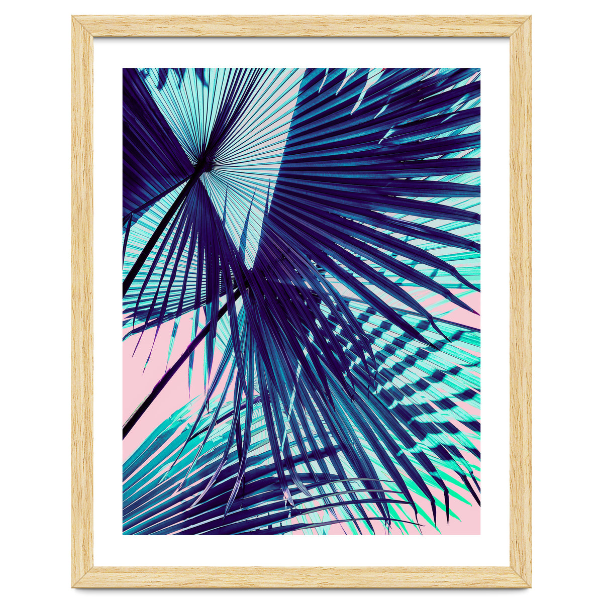 Palm leaf on the beach