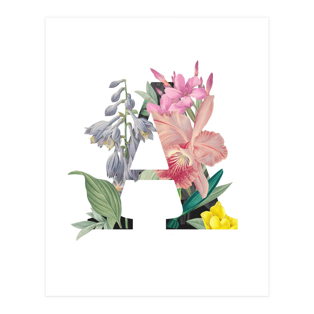 Letter A (Print Only)