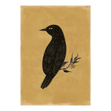 Black Bird (Print Only) thumbnail