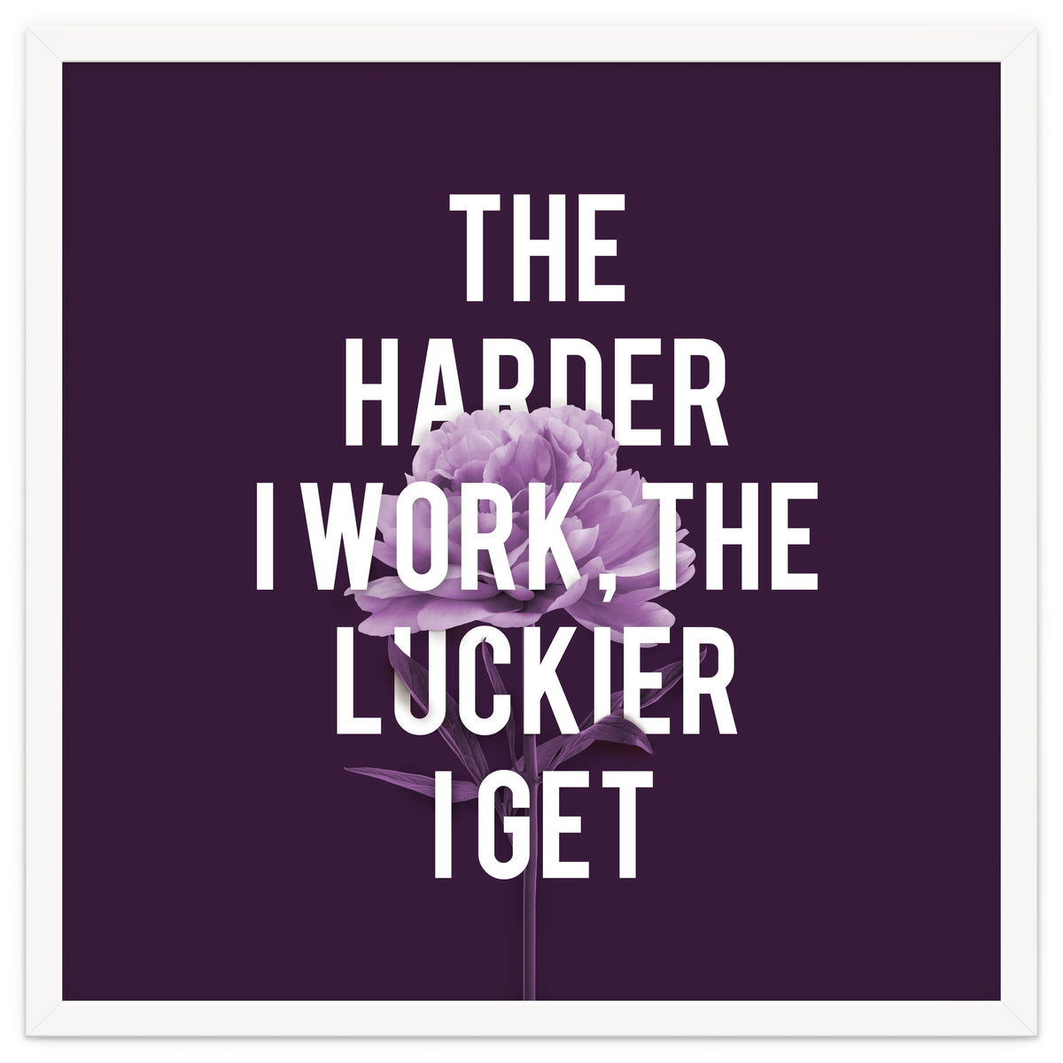Work Hard Be Lucky