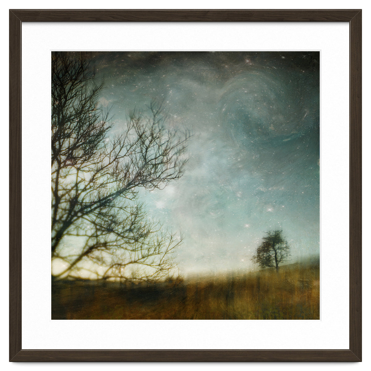 The Tree That Whispered