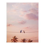 Hummingbirds In Love (Print Only) thumbnail