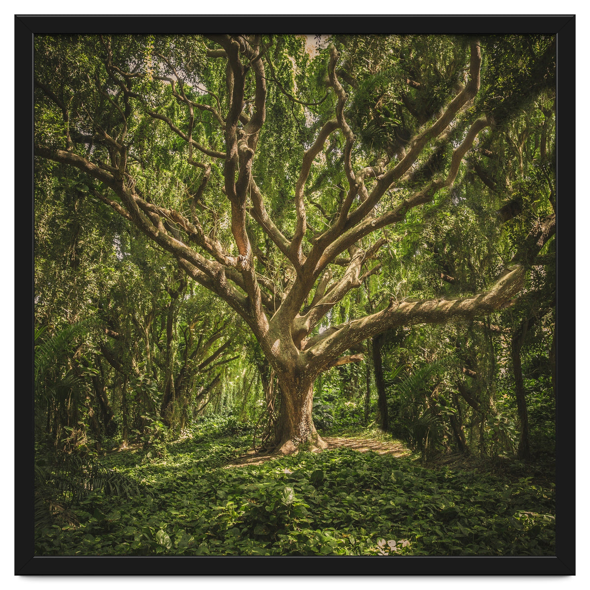 Spirits inside the wood