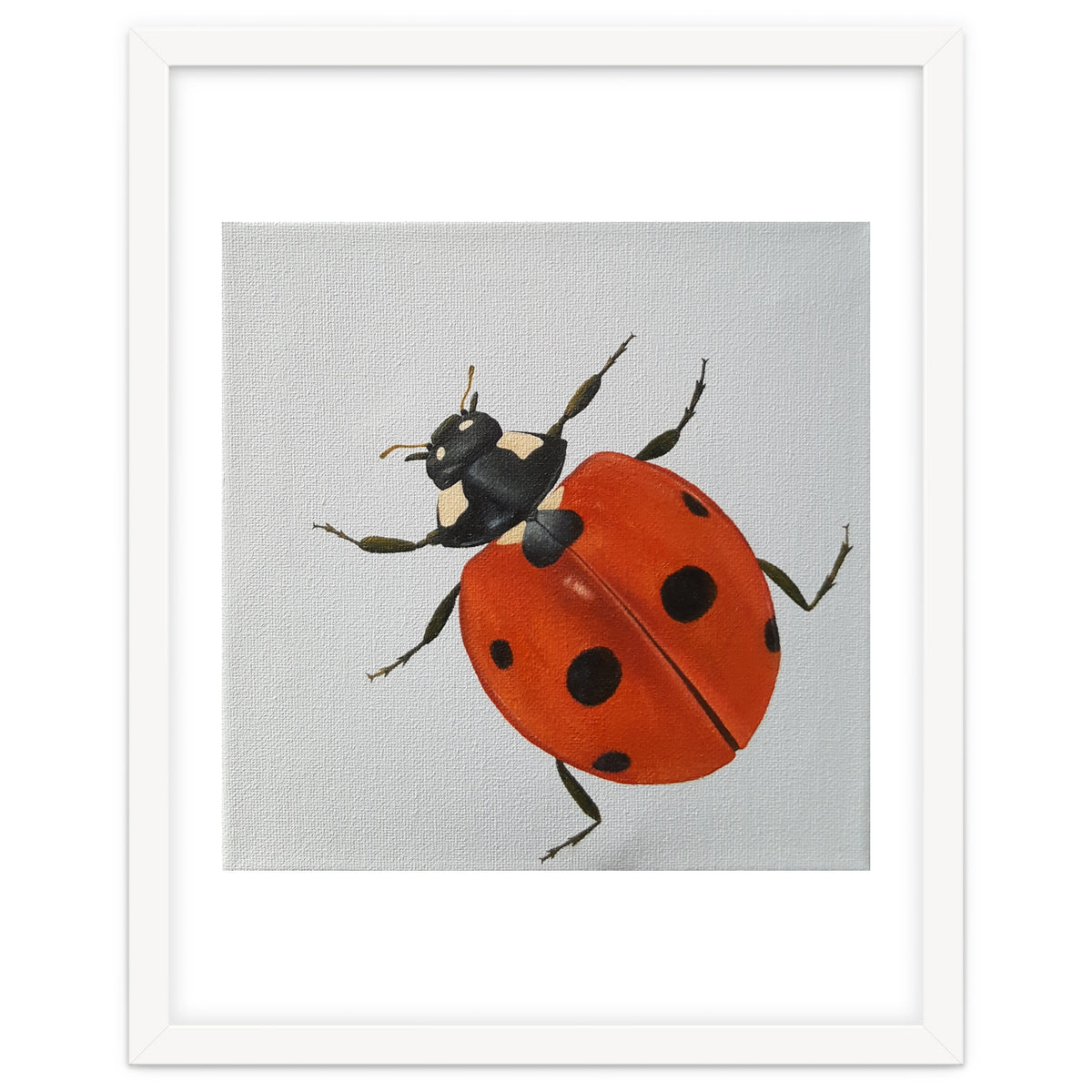 Ladybird