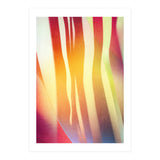 Carnival 2 (Print Only) thumbnail