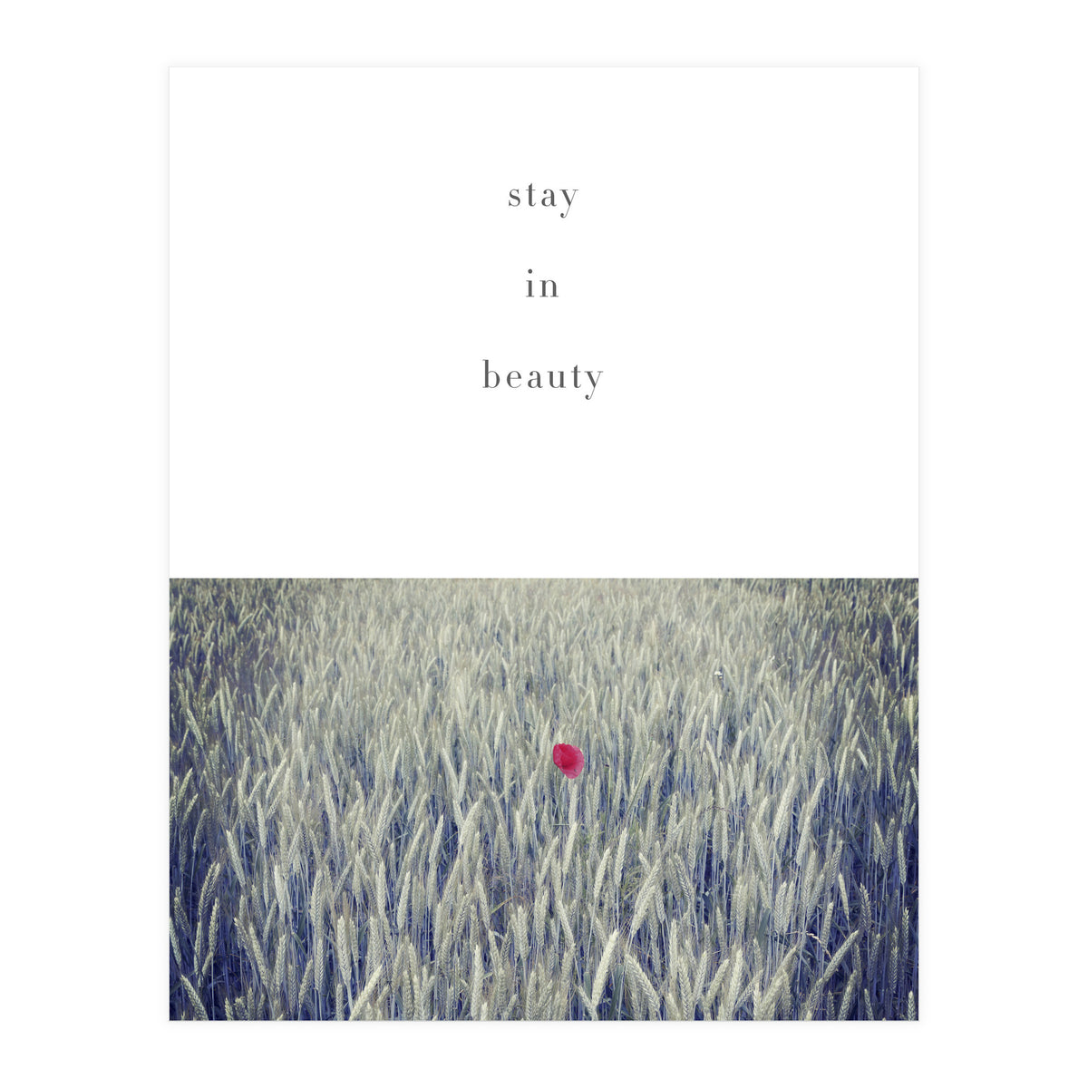 stay in nature (Print Only)