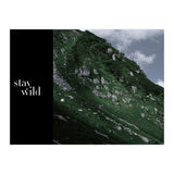 stay wild  (Print Only) thumbnail