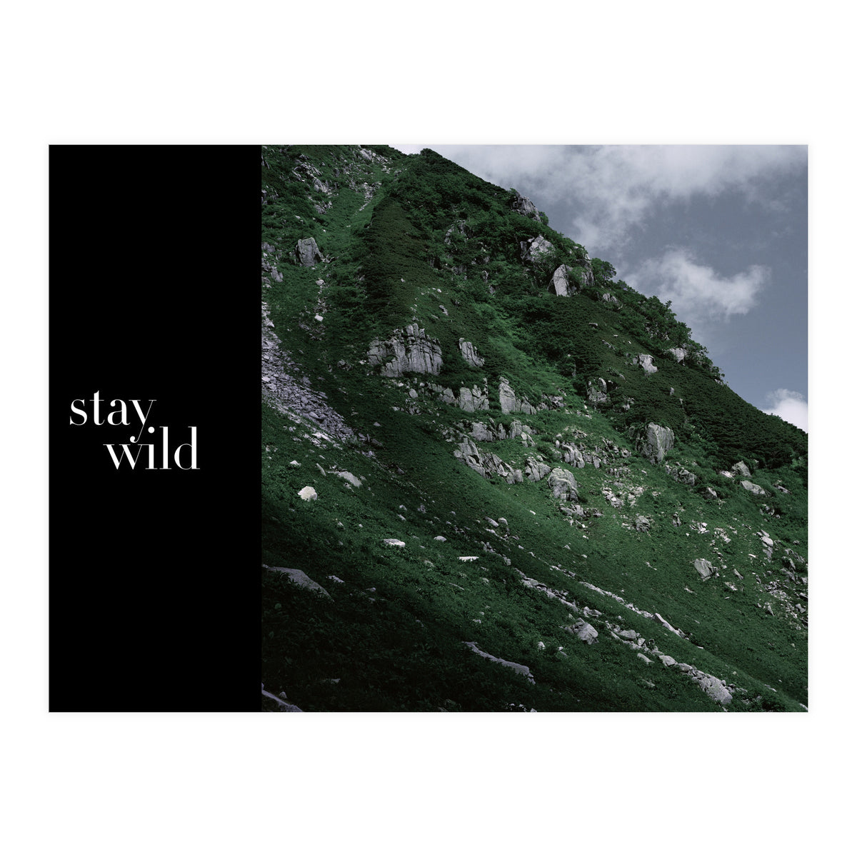 stay wild  (Print Only)