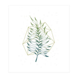 Geometry And Nature I (Print Only) thumbnail