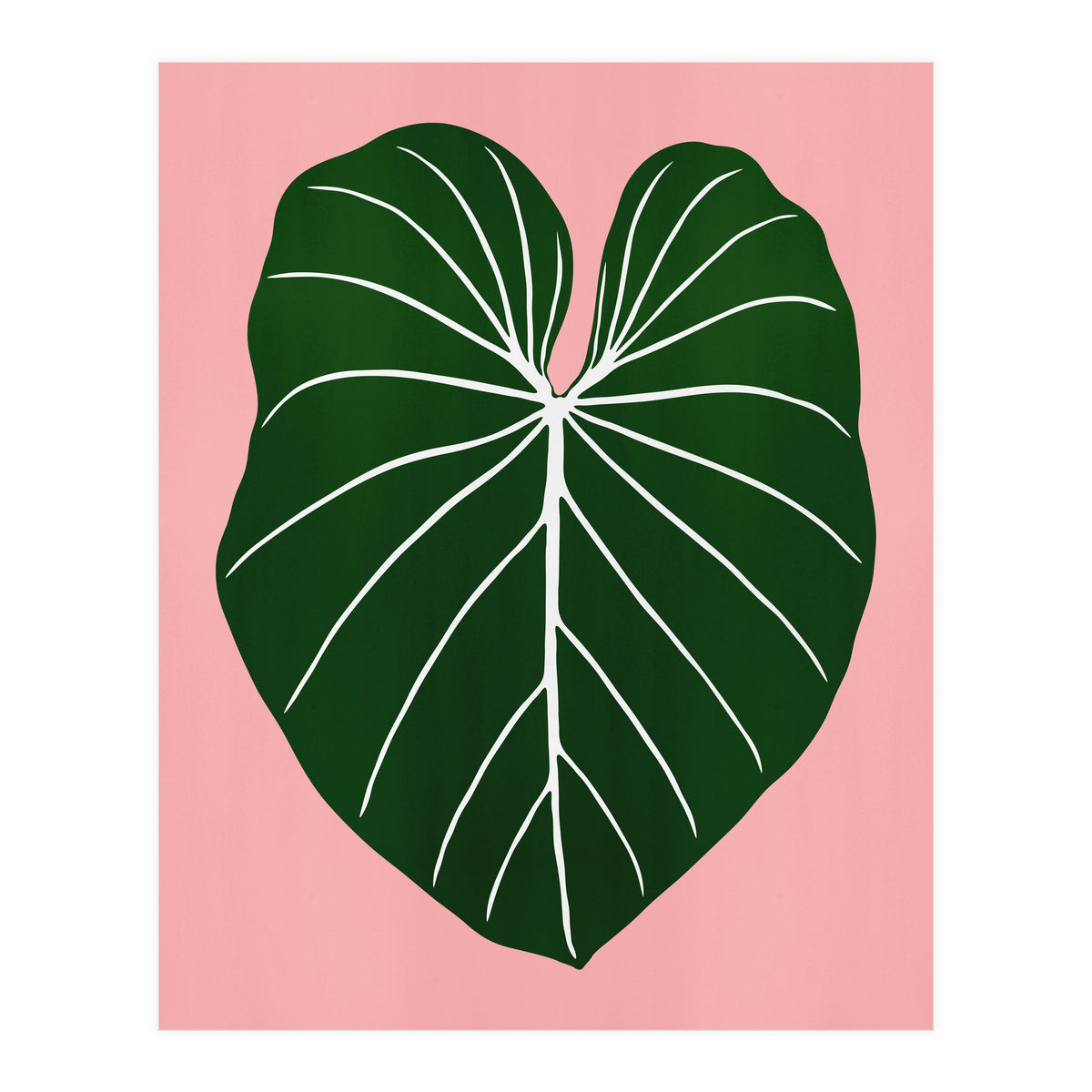 Leaf 05 (Print Only)