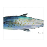 Fish Sierra (Print Only) thumbnail