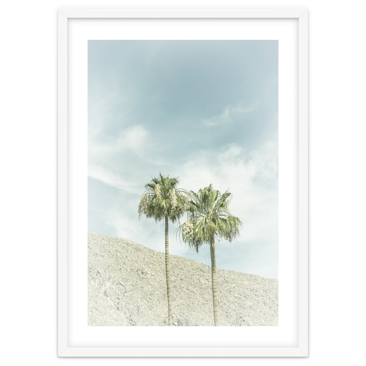 Palm Trees in the desert | Vintage
