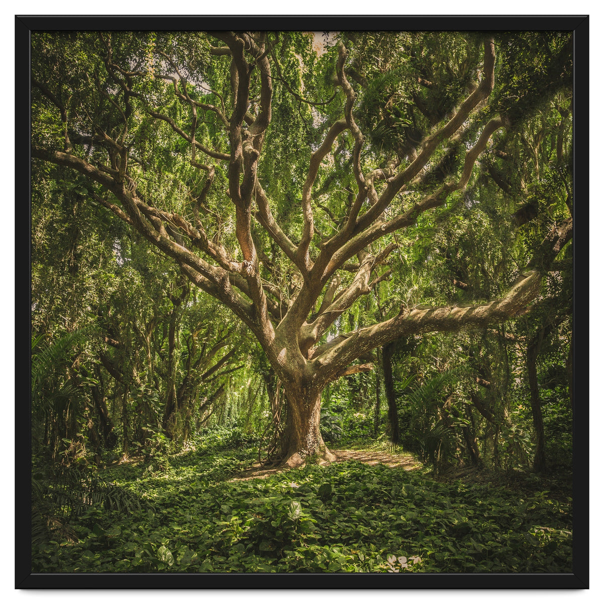 Spirits inside the wood