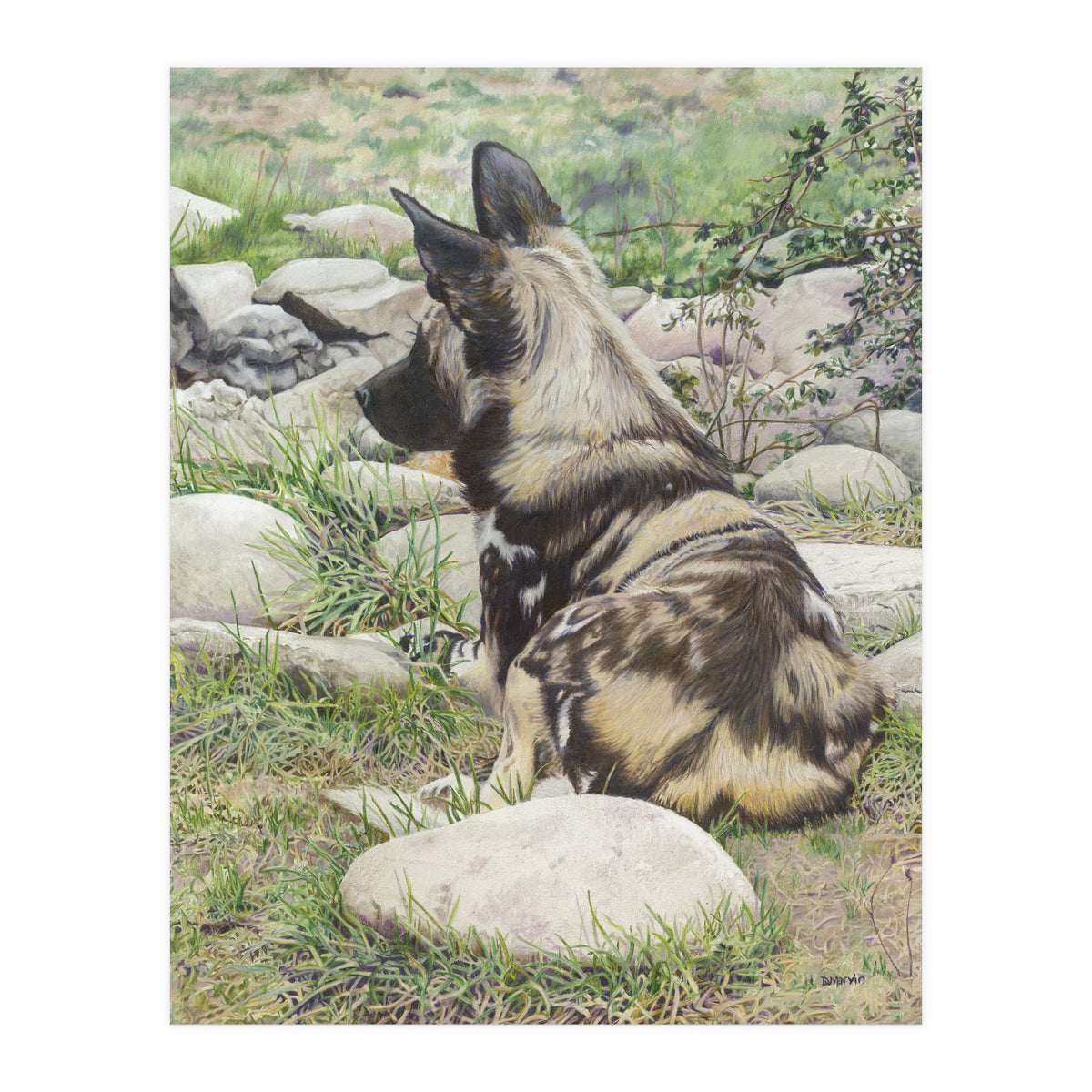 African Painted Dog I (Print Only)