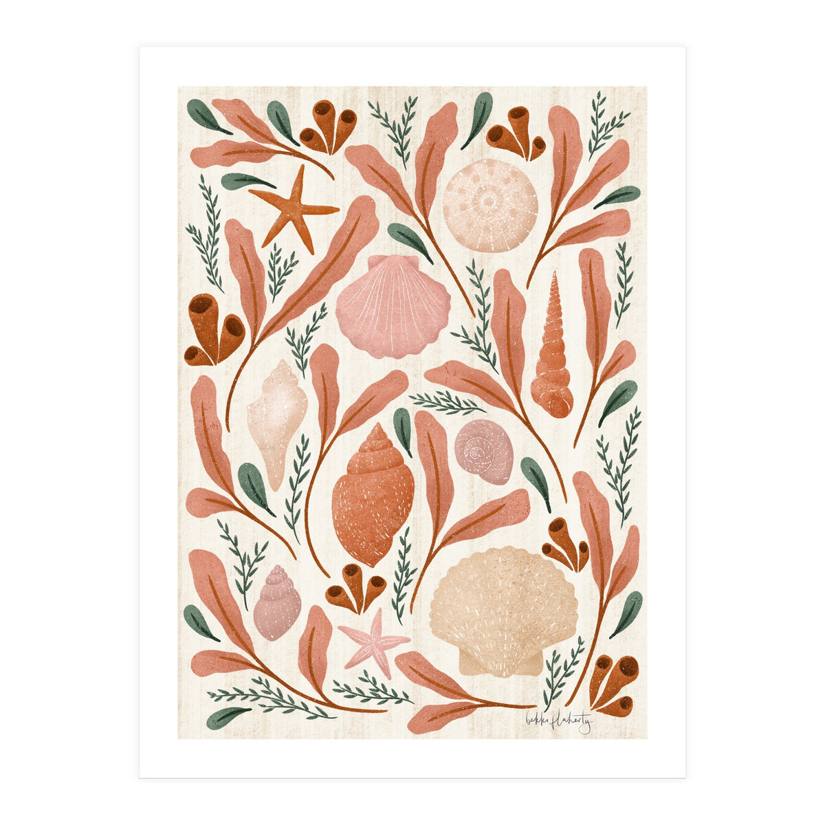 Shells Collection (Print Only)