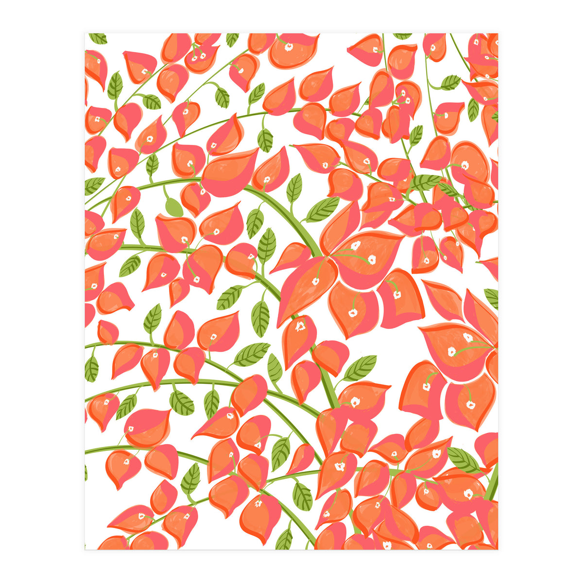 Bougainvillea Blush (Print Only)