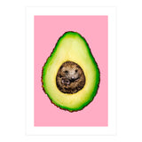 Hedgehocado (Print Only) thumbnail