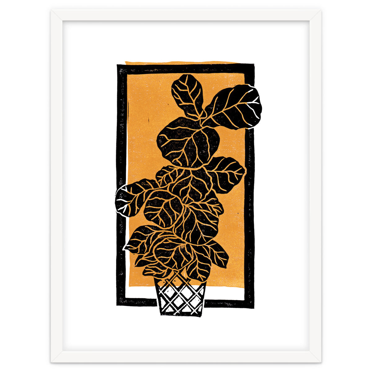 Fiddle Leaf Fig Clean + Sunlight