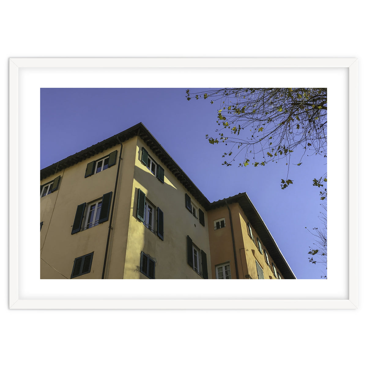 Windows From Tuscany 2