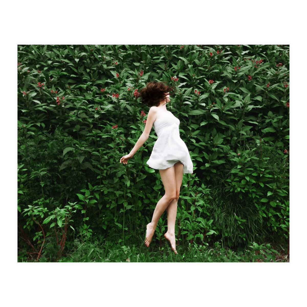 Greenfields (Print Only)