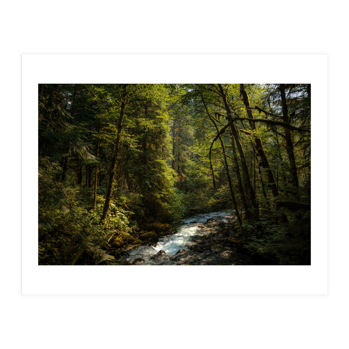 Cascade River (Print Only)