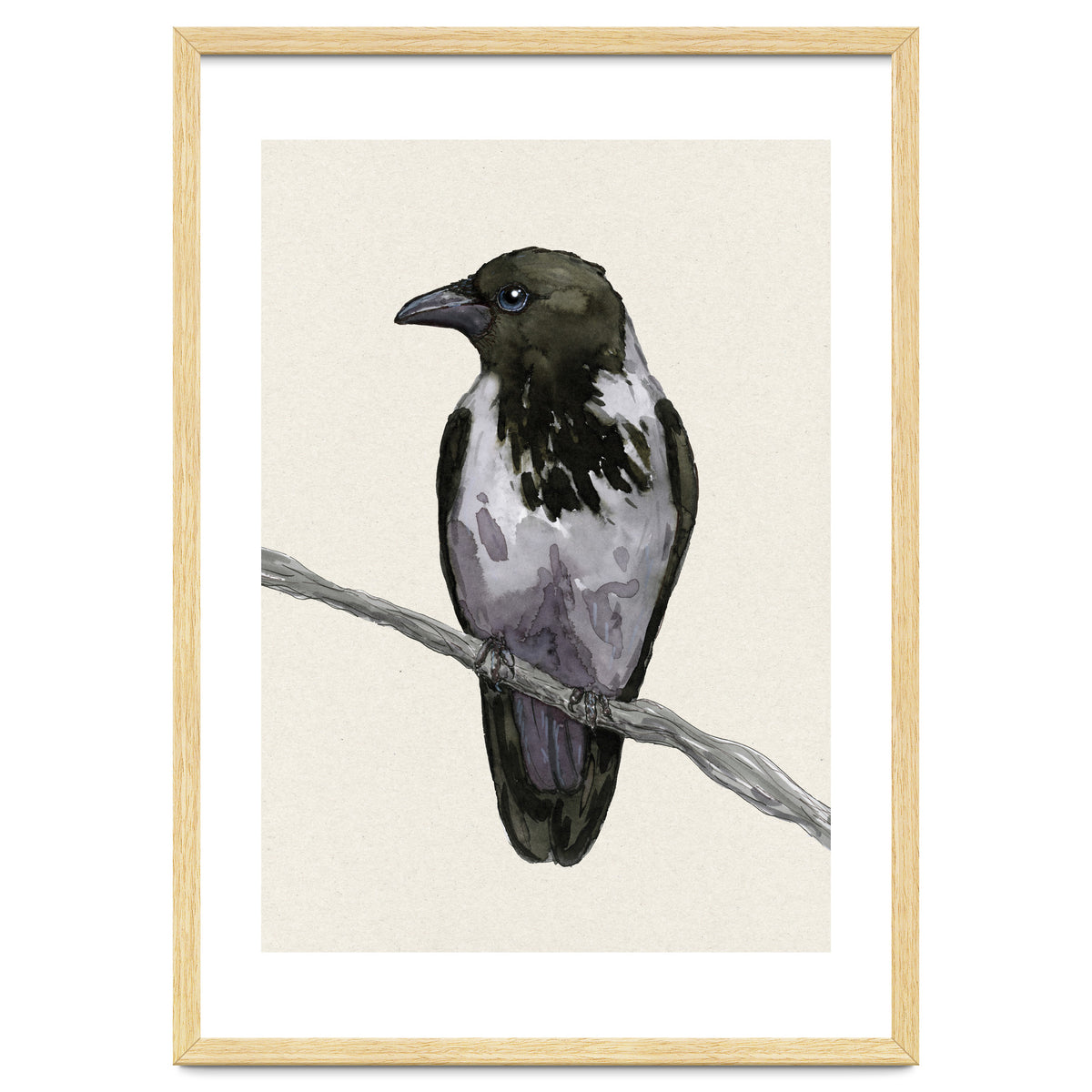 Hooded crow watercolor