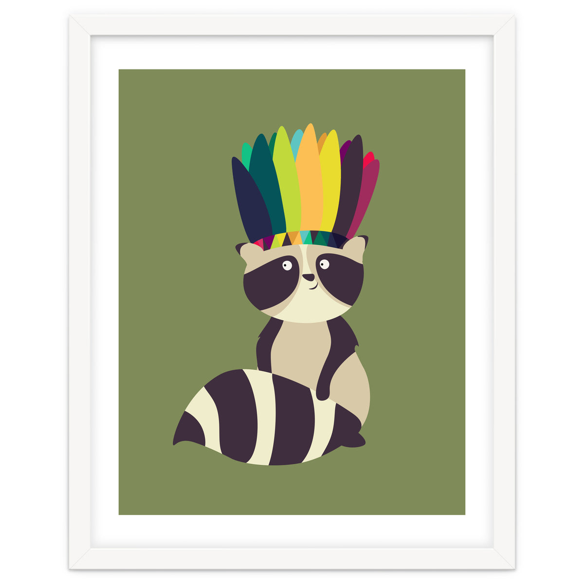 Indian Raccoon