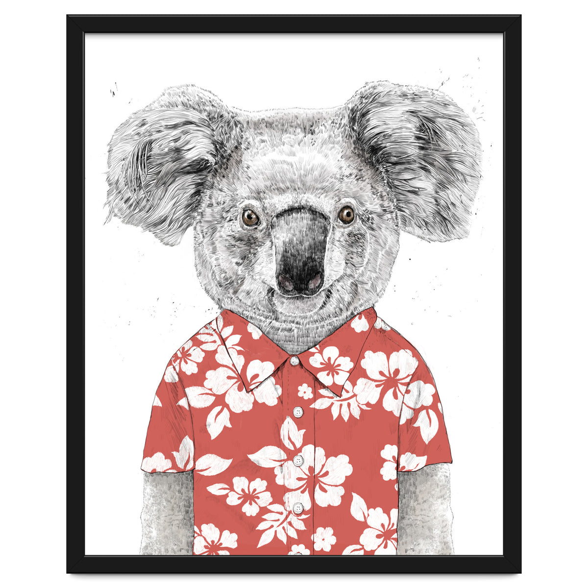 Summer Koala