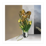 Das Licht Der Pflanze (Print Only) thumbnail