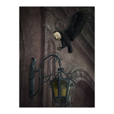 Lumieres (Print Only) thumbnail