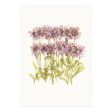 Cc Flower 02 (Print Only) thumbnail