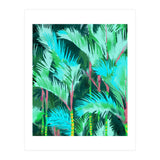 Palm Forest (Print Only) thumbnail
