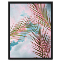 Palms + Sky